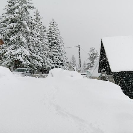 Ferienwohnung Durmitor Žabljak Exterior foto