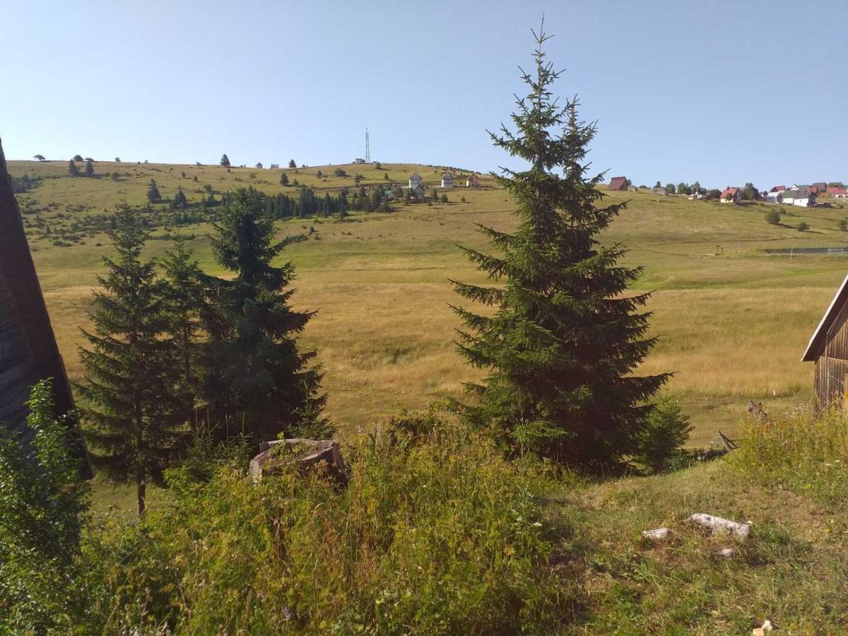 Ferienwohnung Durmitor Žabljak Exterior foto