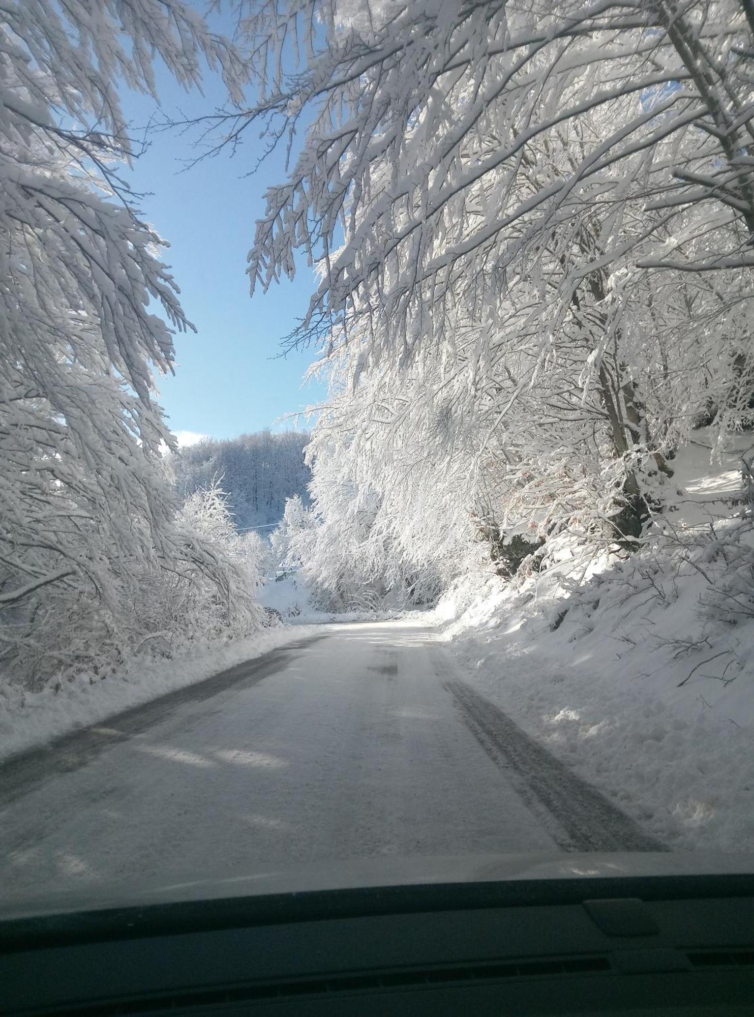 Ferienwohnung Durmitor Žabljak Exterior foto